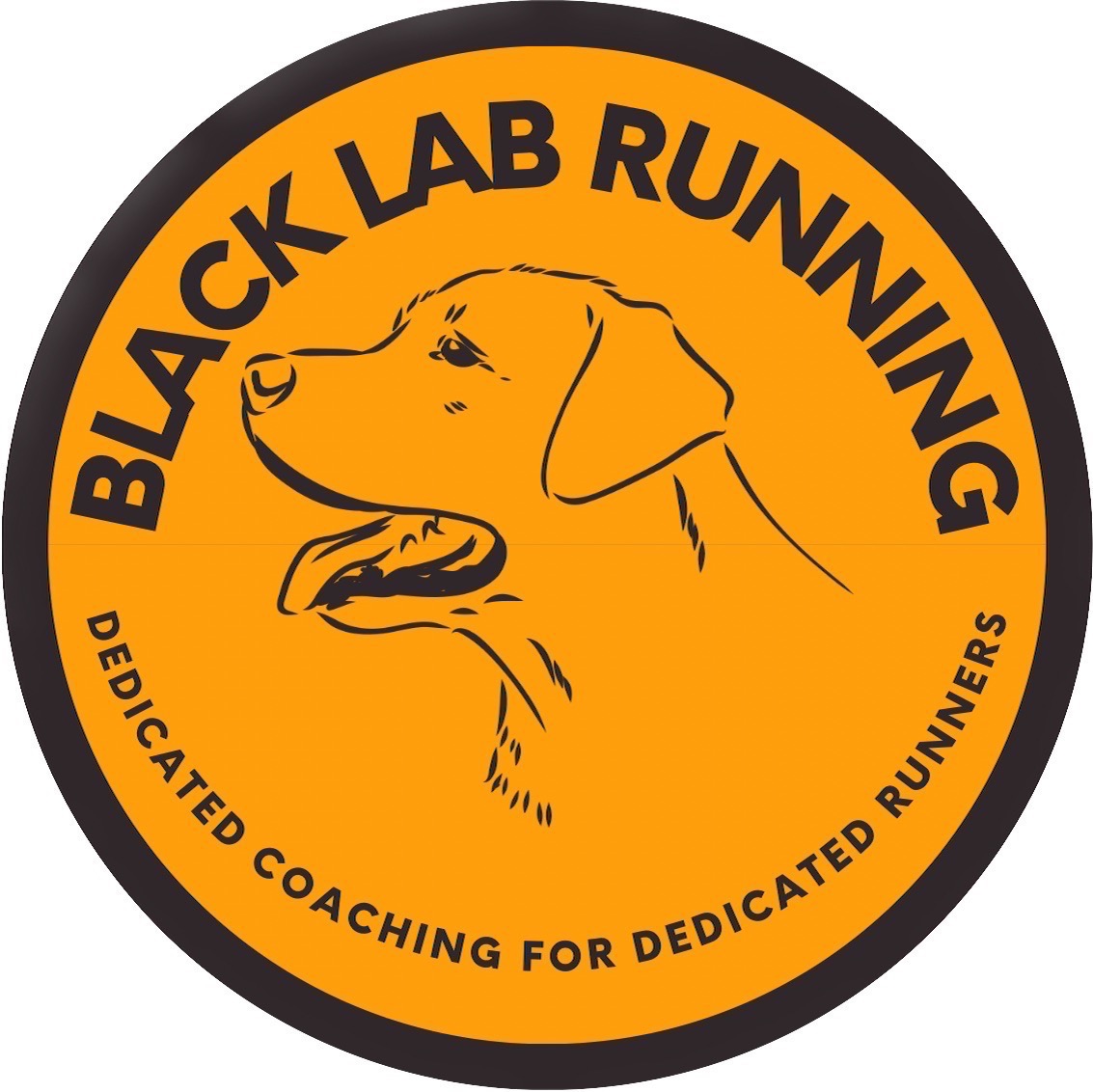 Values Black Lab Running